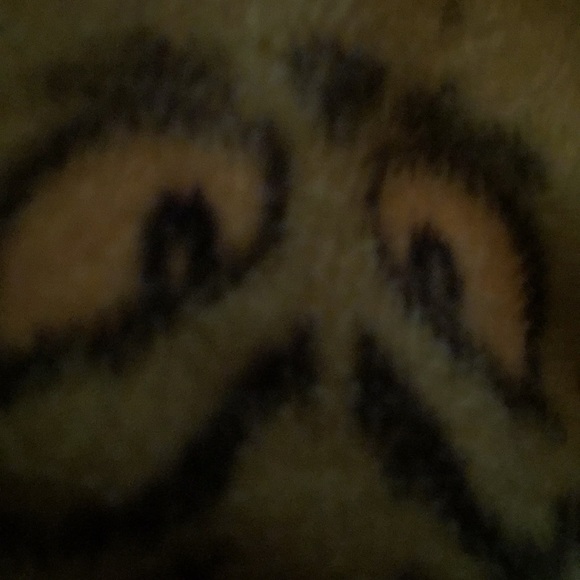 Meet your Posher, Joey - Picture 1 of 1